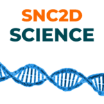 SNC2D - Science - Grade 10 - Ontario online courses - Spadina International School - Grade 10 science course